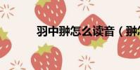 羽中翀怎么讀音(翀怎么讀音)