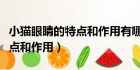 小貓眼睛的特點和作用有哪些(小貓眼睛的特點和作用)