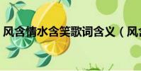 風含情水含笑歌詞含義(風含情水含笑歌詞)