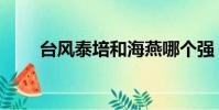 臺風泰培和海燕哪個強(臺風泰培)