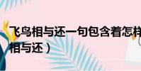 飛鳥相與還一句包含著怎樣的類比意義(飛鳥相與還)