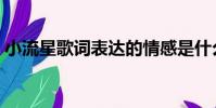 小流星歌詞表達的情感是什么(小流星歌詞)