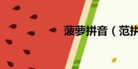 菠蘿拼音(范拼音)