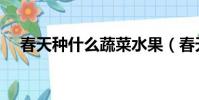 春天種什么蔬菜水果(春天種什么蔬菜)