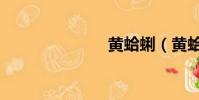 黃蛤蜊(黃蛤)