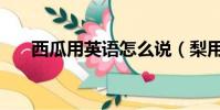西瓜用英語怎么說(梨用英語怎么說)
