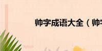 帥字成語大全(帥字成語)