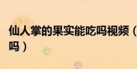 仙人掌的果實能吃嗎視頻(仙人掌的果實能吃嗎)