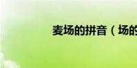 麥場的拼音(場的拼音)
