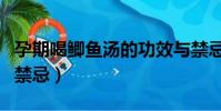孕期喝鯽魚湯的功效與禁忌(鯽魚湯的功效與禁忌)
