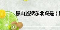 黑山監獄東北虎是(黑山監獄)