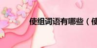 使組詞語有哪些(使組詞語)