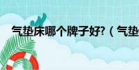 氣墊床哪個牌子好?(氣墊床哪個牌子好)