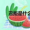 丑拒是什么意思啊（丑拒是什么意思）