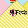 豬下水怎么煮視頻（豬下水怎么煮）