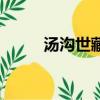 湯溝世藏多少錢一瓶（湯溝世藏）