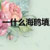 一什么海鷗填量詞二年級上冊（一什么海鷗）