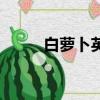白蘿卜英文怎么寫（白蘿卜英文）