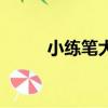 小練筆大全三年級（小練筆大全）