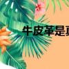 牛皮革是真皮嗎?（羊皮革是真皮嗎）