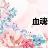 血魂裝備（血魂有什么用）