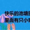 快樂的池塘里面有只小青蛙rap（快樂的池塘里面有只小青蛙）