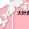 大葉女貞樹簡介（大葉女貞）