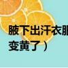 腋下出汗衣服變黃是怎么辦（腋下出汗衣服就變黃了）