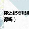 你還記得嗎那年盛夏那個傻瓜什么歌（你還記得嗎）