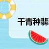干青種翡翠屬于什么檔次（干青種）