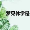 夢見休學是什么意思（休學是什么意思）