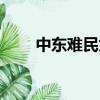 中東難民為何不來中國（中東難民）