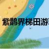 紫鵲界梯田游玩攻略（紫鵲界梯田旅游攻略）