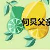 何炅父親何畏的背景（何炅父親）