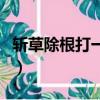 斬草除根打一字謎底是什么（斬草除根打一字）