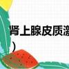 腎上腺皮質激素是蛋白質嗎（激素是蛋白質嗎）