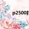 p2500打印機不能打印（p2500）