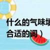 什么的氣味填合適的詞二年級（什么的氣味填合適的詞）
