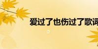 愛過了也傷過了歌詞(愛過)