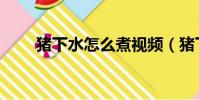 豬下水怎么煮視頻(豬下水怎么煮)