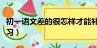 初一語文差的很怎樣才能補起來(初一語文補習)