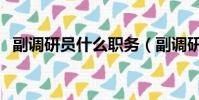 副調研員什么職務(副調研員還有前途嗎)