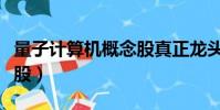 量子計算機概念股真正龍頭(量子計算機概念股)