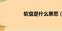 軟盤是什么意思(軟盤)