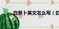 白蘿卜英文怎么寫(白蘿卜英文)