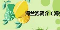 海蘭泡簡介(海蘭泡)