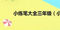 小練筆大全三年級(小練筆大全)
