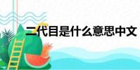二代目是什么意思中文(與二代目)