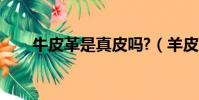 牛皮革是真皮嗎?(羊皮革是真皮嗎)