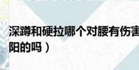 深蹲和硬拉哪個對腰有傷害(深蹲和硬拉是壯陽的嗎)